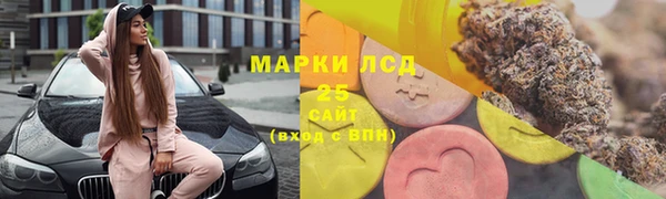 ECSTASY Алзамай