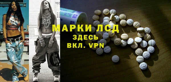 ECSTASY Алзамай