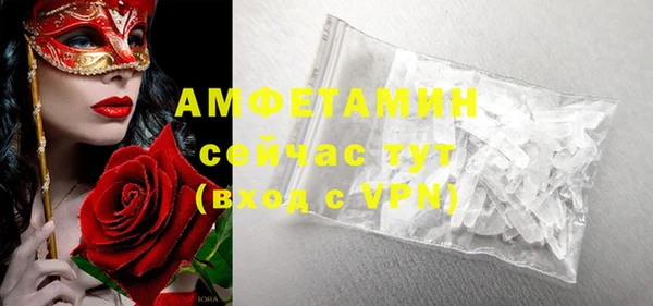 ECSTASY Алзамай