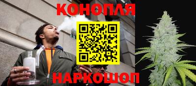 индика Абинск