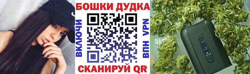 где продают   Апатиты  МАРИХУАНА VHQ 