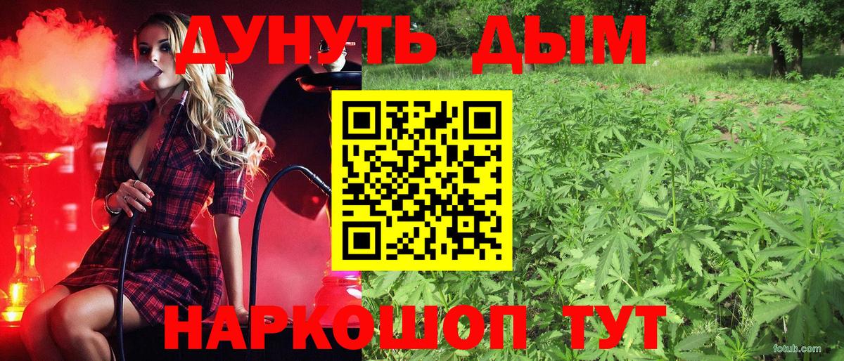 Бошки Шишки AK-47 Апатиты
